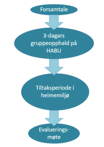 Diagram som viser ein prosess